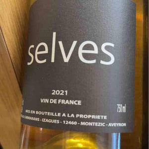 Selves - Nicolas Carmarans - nicolas-carmarans