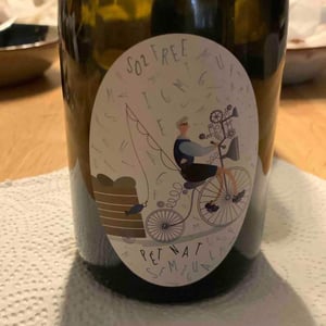 Sem Igual Vinho Espumante Rosado - Sem Igual - joao-camizao