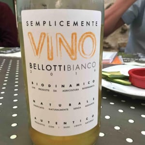Cascina degli Ulivi - Ilaria Bellotti - Semplicemente Vino Bianco