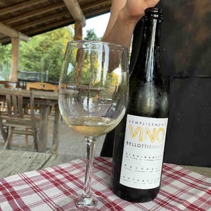 Cascina degli Ulivi - Ilaria Bellotti - Semplicemente Vino Bianco