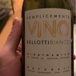 Cascina degli Ulivi - Ilaria Bellotti - Semplicemente Vino Bianco