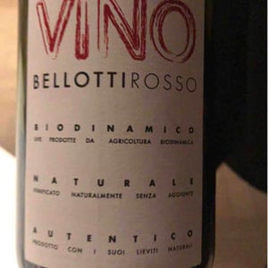 Cascina degli Ulivi - Ilaria Bellotti - Semplicemente Vino Bianco