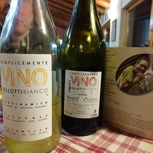 Cascina degli Ulivi - Ilaria Bellotti - Semplicemente Vino Rosso