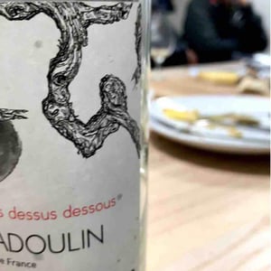 Sens Dessus Dessous - Stéphan Elzière - Stéphan Elzière 
