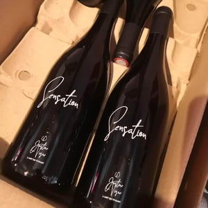 Sensation (pride) - Justine Vigne - justine-vigne