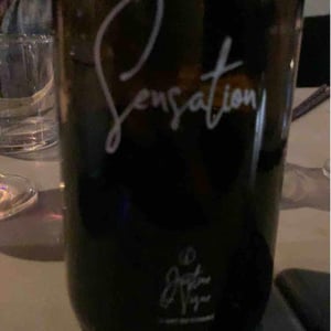 Sensation (pride) - Justine Vigne - Justine Vigne 