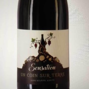 Sensation - Un Coin Sur Terre - Edouard Sentex 