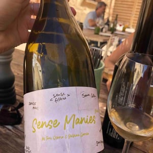 Sense Manies Blanc - Vinyes que Atrapen - Toni Osorio & Balbina Garcia -2020