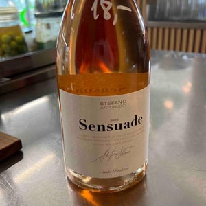 Sensuade - Azienda Santa Barbara - stefano-antonucci -2022
