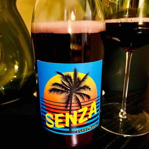 Senza - Milan Nestarec - Milan Nestarec 