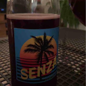 Senza - Milan Nestarec - Milan Nestarec 