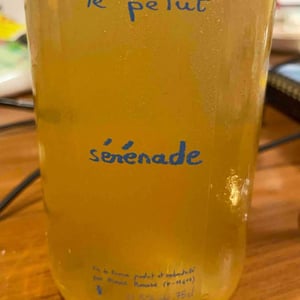 Sérénade - Pierre Rousse - pierre-rousse
