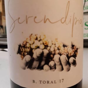 Serendipity - Bodega Toral - Pablo Toral Gómez 