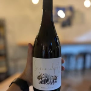 Serendipity - Bodega Toral - Pablo Toral Gómez 