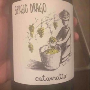 Sergio Drago Rosa - Sergio Drago - sergio-drago