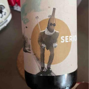 Serious - Villa Job - Alessandro Job 