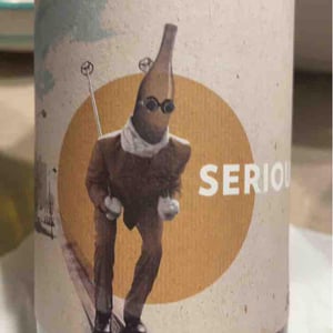 Serious - Villa Job - Alessandro Job 