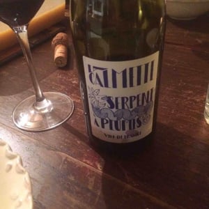 Serpent à Plumes - Domaine la Calmette - Maya Sallée & Nicolas Fernandez 