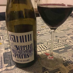Le Serpent à Plumes 17