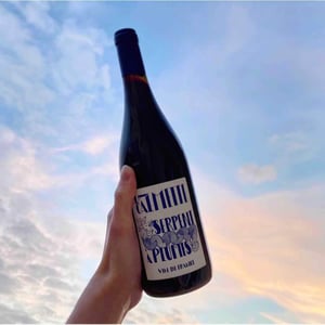 Serpent à Plumes - Domaine la Calmette - Maya Sallée & Nicolas Fernandez 