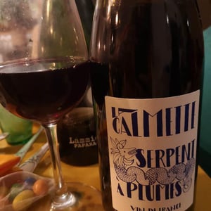 Domaine la Calmette - Maya Sallée & Nicolas Fernandez - Serpent à Plumes