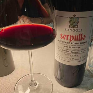 Serpullo 2015 - Fongoli - Angelo Fongoli