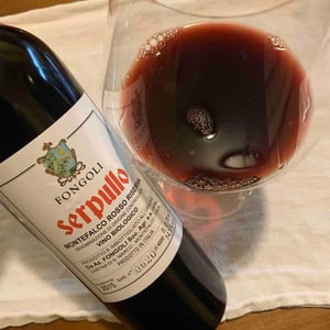 Serpullo 2015