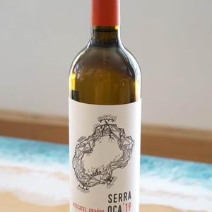 Serra Oca – Branco - Quinta do Olival da Murta - vivas-family -2019