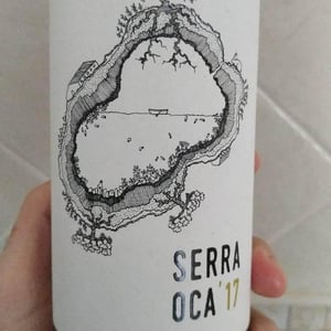Serra Oca – Branco - Quinta do Olival da Murta - Vivas Family -2019