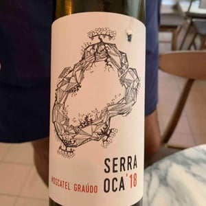 Serra Oca – Branco - Quinta do Olival da Murta - Vivas Family -2019