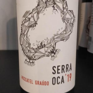 Serra Oca – Branco - Quinta do Olival da Murta - vivas-family -2019