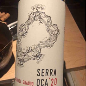 Serra Oca – Branco - Quinta do Olival da Murta - Vivas Family -2019