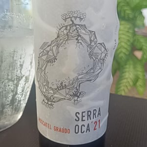 Serra Oca – Branco - Quinta do Olival da Murta - vivas-family -2019