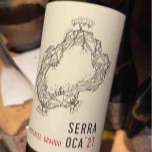 Serra Oca – Branco - Quinta do Olival da Murta - Vivas Family -2019