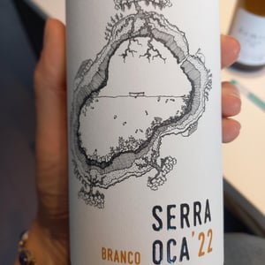 Serra Oca – Branco - Quinta do Olival da Murta - vivas-family -2019