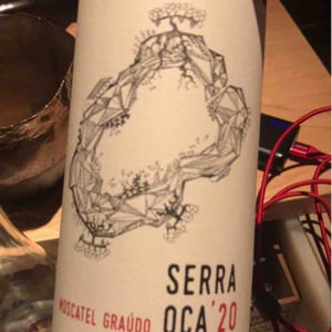 Serra Oca – Moscatel Graudo - Quinta do Olival da Murta - Vivas Family -2020