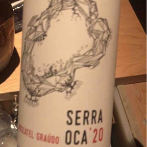 Serra Oca – Moscatel Graudo - Quinta do Olival da Murta - vivas-family -2020