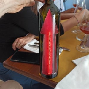 Azienda Agricola Serragghia - Gabrio & Giotto Bini - Serragghia Rosso Fanino