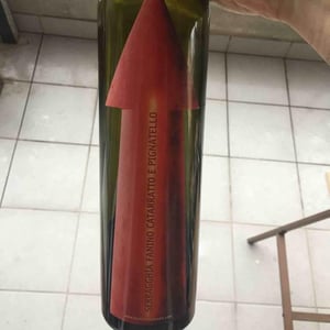 Azienda Agricola Serragghia - Gabrio & Giotto Bini - Serragghia Rosso Fanino