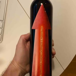 Azienda Agricola Serragghia - Gabrio & Giotto Bini - Serragghia Rosso Fanino