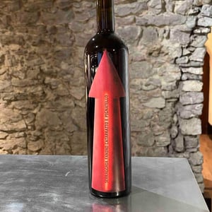 Serragghia Rosso Fanino - Azienda Agricola Serragghia - Gabrio & Giotto Bini 