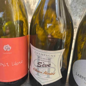 Sève "En Barmont" Blanc de Noirs - Champagne Olivier Horiot - olivier-horiot