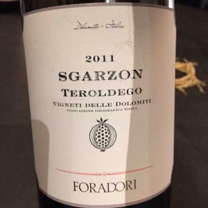 Azienda Agricola Foradori - Elisabetta Foradori - Sgarzon