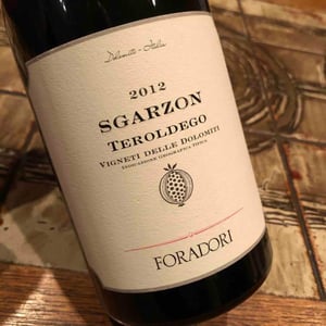 Azienda Agricola Foradori - Elisabetta Foradori - Sgarzon