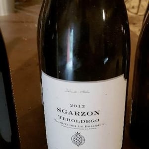 Azienda Agricola Foradori - Elisabetta Foradori - Sgarzon