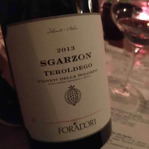 Azienda Agricola Foradori - Elisabetta Foradori - Sgarzon