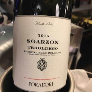 Azienda Agricola Foradori - Elisabetta Foradori - Sgarzon