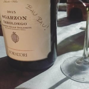 Azienda Agricola Foradori - Elisabetta Foradori - Sgarzon