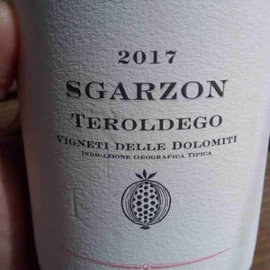 Azienda Agricola Foradori - Elisabetta Foradori - Sgarzon