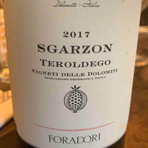 Azienda Agricola Foradori - Elisabetta Foradori - Sgarzon